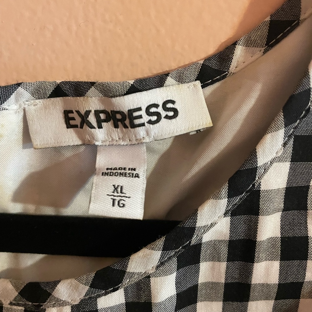 Express Dress - Picture 3 of 3